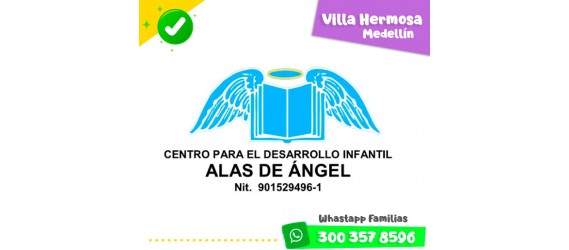 CENTRO PARA EL DESARROLLO INFANTIL ALAS DE ÁNGEL