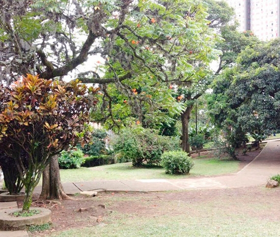 PREESCOLAR - COLEGIO CONGREGACIÓN DE LOS SAGRADOS CORAZONES 