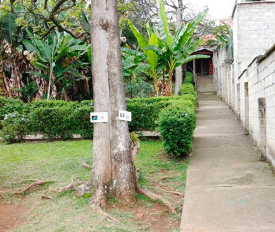 PREESCOLAR - COLEGIO CONGREGACIÓN DE LOS SAGRADOS CORAZONES 