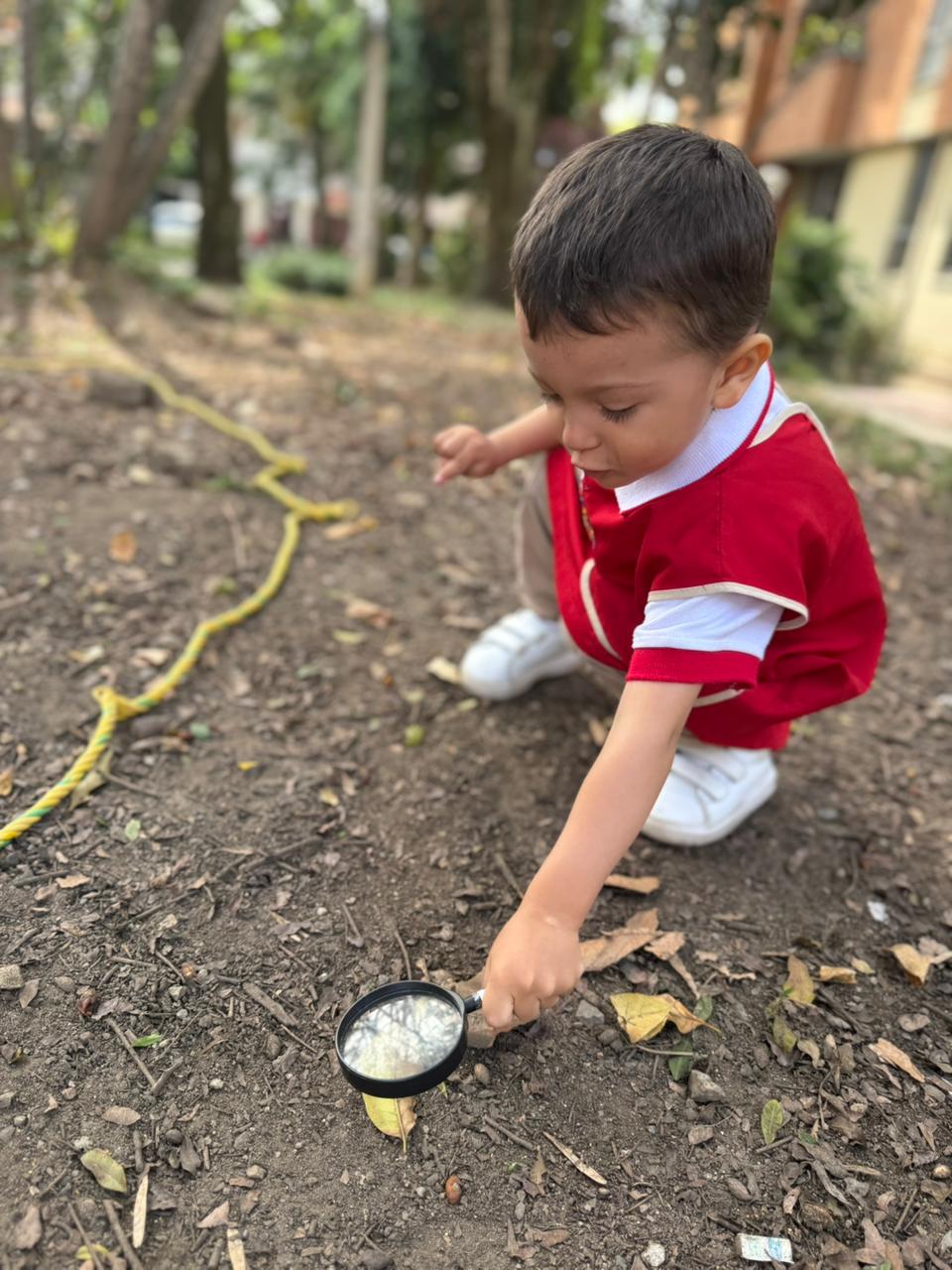 CENTRO DE ESTIMULACIÓN Y DESARROLLO BARTOLITO KIDS